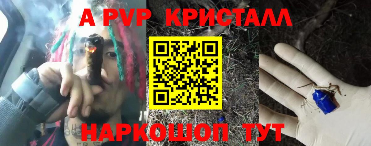 Нижневартовск  A-PVP СК  Alfa_PVP СК  Альфа ПВП крисы CK  Вход с VPN 