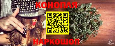 ECSTASY Камышлов