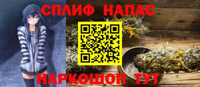 гашик Кандалакша
