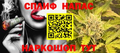 ECSTASY Камышлов
