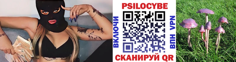 Псилоцибиновые грибы Psilocybe  Нижневартовск 