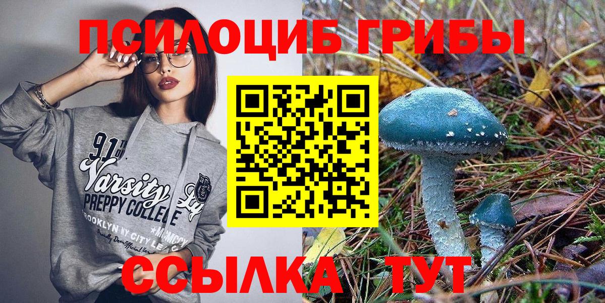 хочу   Нижневартовск  Псилоцибиновые грибы GOLDEN TEACHER  Галлюциногенные грибы прущие грибы 