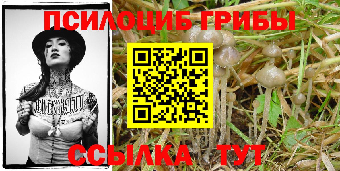 Нижневартовск  Галлюциногенные грибы Magic Shrooms  Вход с VPN  Псилоцибиновые грибы мицелий 