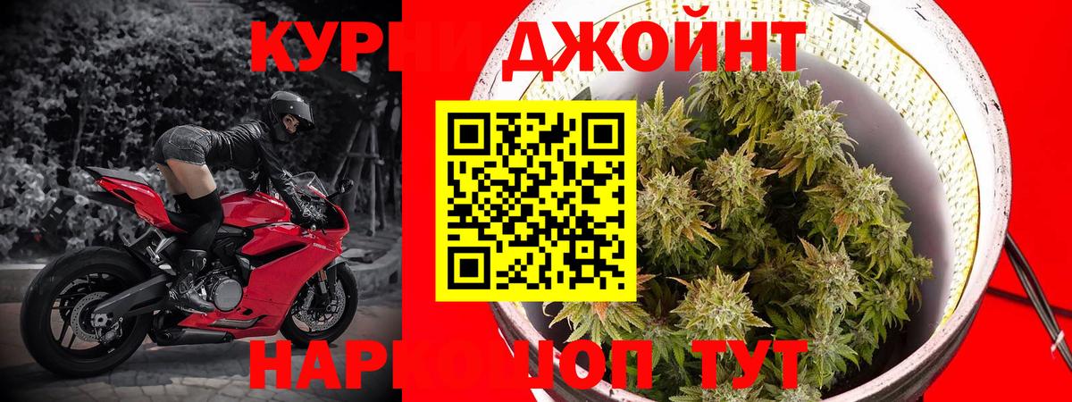 Шишки марихуана OG Kush Нижневартовск